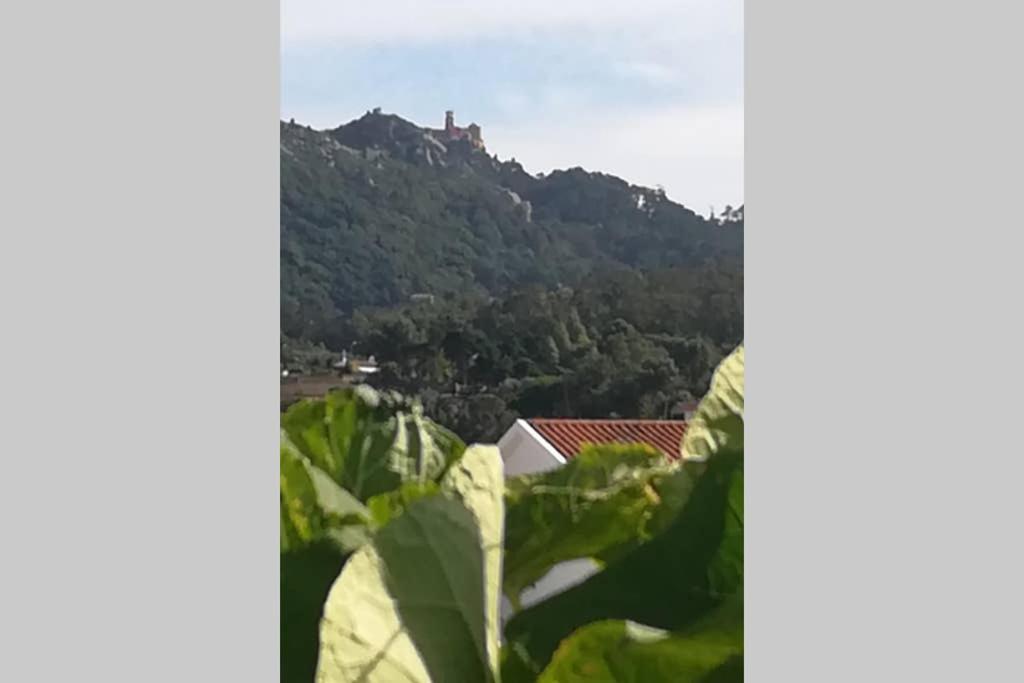 Villa Bliss Boho House Sintra Esterno foto